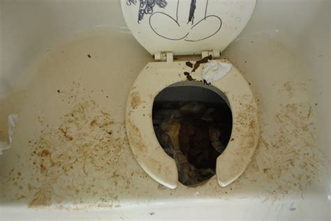 Nasty Portable Toilets