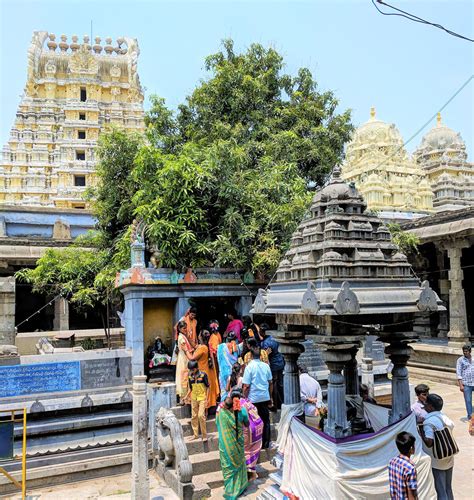hindu temples kanchipuram india — the traveling american
