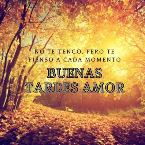 Mejores Frases De Buenas Tardes Amor Mensajes Para Dedicar Muy Bonitos