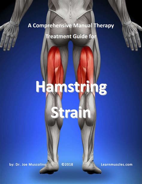 A Comprehensive Treatment Guide For Hamstring Strain Learn Muscles