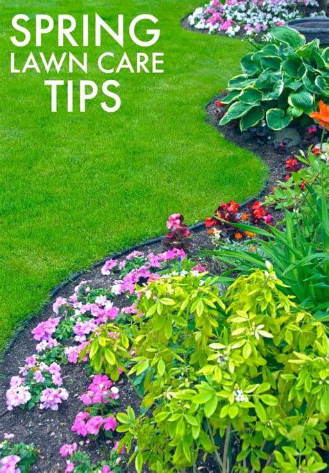 7 Spring Lawn Care Tips Simply Stacie