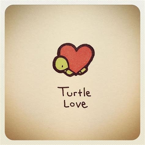 Turtle Love Cute Turtle Drawings Turtle Drawing