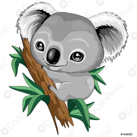 Le Plus Populaire Bebe Koala Dibujo Animado 159475 Saesipjosmqur