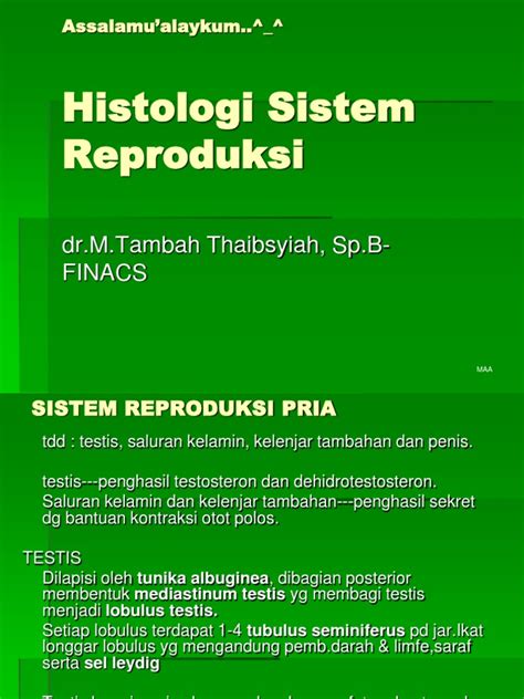 Pptx Histologi Sistem Reproduksi Pria Dokumen Tips Hot Sex Picture