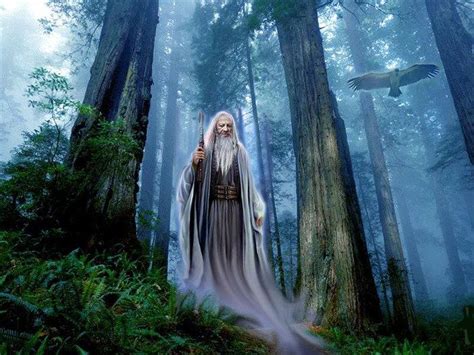 Druid And Forest Wicca Era Viking Mago Merlin Roi Arthur King