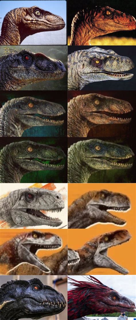 The Raptors Jurassic Park Know Your Meme Vrogue Co