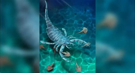 Chinese Scientists Have Uncovered The Remains Of Enormous Sea Scorpions
