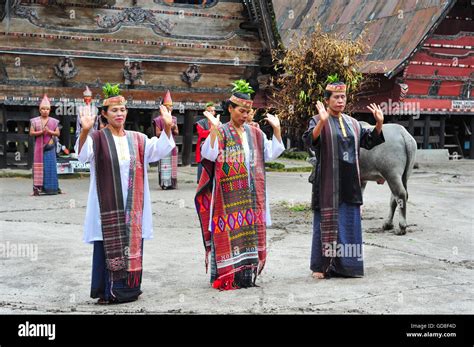 Traditional Batak Dancers Performing A Ceremonial Dance In Bolon