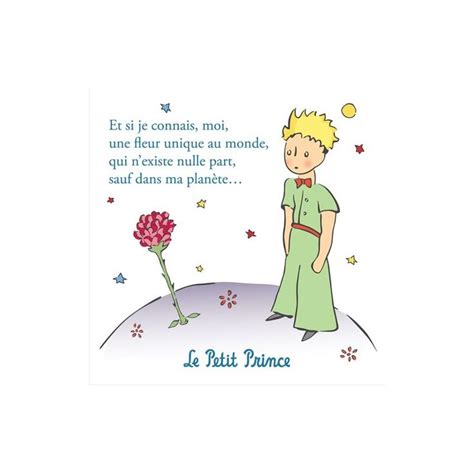 I read the little prince in french (le petit prince) a long time ago, when i was a child and still dreaming that the world was without flaw. Les petits cultivés » ☼• Le Petit Prince au théâtre de la ...