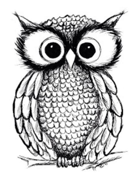 Pin by Natalie on Things I love | Owls drawing, Owl illustration, Owl