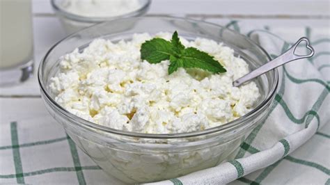 Homemade Cottage Cheese How To Make Cottage Cheese Homemade Row