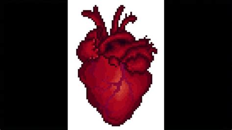 Anatomical Heart Pixel Art Time Lapse Youtube