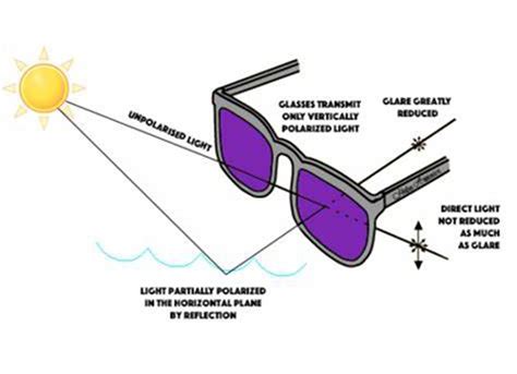 How Do Polarized Sunglasses Work Koalaeye Optical N N N N