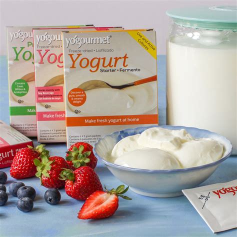 Everything You Need To Know About Yogurt Starter Culture Luvele Au