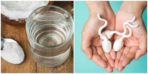 Can Salt And Water Flush Out Sperm From The Body Nigerian Health Blog