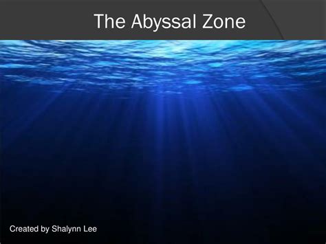 Abyssal Hadal Zones And