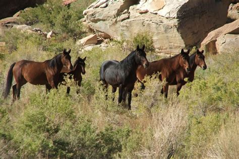 Slide Camping Trip San Rafael Swell Trail Rides To The San Rafael Swell