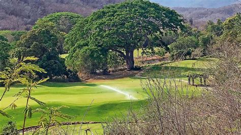 El Club De Golf En Huatulco De Luz A Sombra En Manos De Salinas Pliego Proceso Los Periodistas