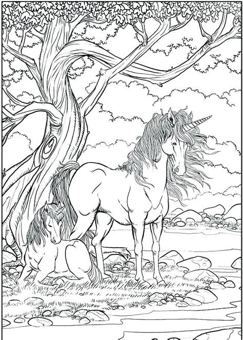 unicorn coloring pages  adults  coloring pages  kids unicorn coloring pages