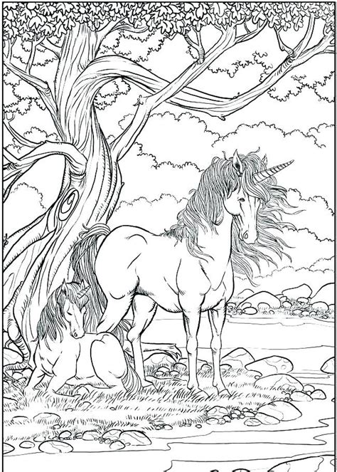 Unicorn Coloring Pages for Adults - Best Coloring Pages For Kids