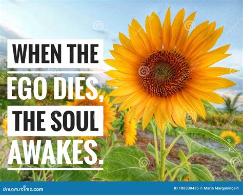 Inspirational Quote When The Ego Dies The Soul Awakes Beautiful