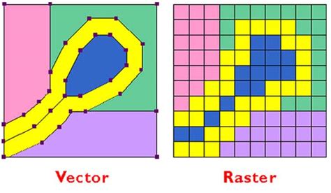 Guide To Raster Vs Vector For Print And Design