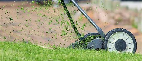 5 Grass Cutting Tips For Beginners Pretty Practical Home
