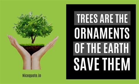 80 Best Slogans On Save Trees And Save Tree Quotes November 2023
