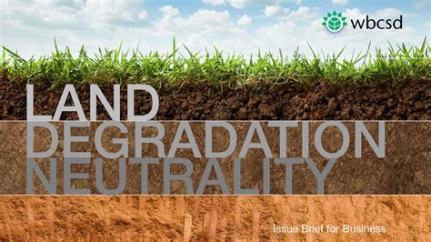 Land Degradation Neutrality Issue Brief For Business