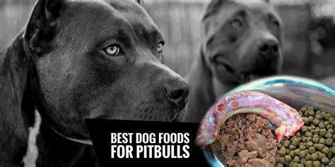 The best dry dog food for your pit bull; 4 Best Dog Foods for Pitbulls — Natural, High Protein, Low Fat