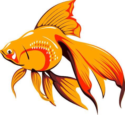 Golden Fish Clip Art At Clker Com Vector Clip Art Online Royalty