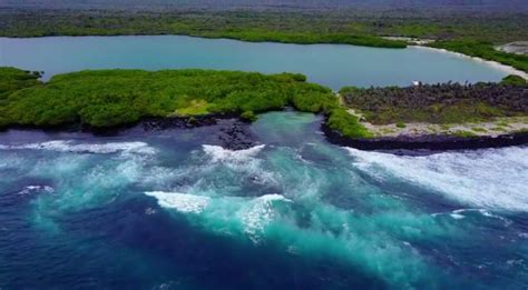 4 Galapagos Islands 4 Great Galapagos Videos Galakiwi Blog