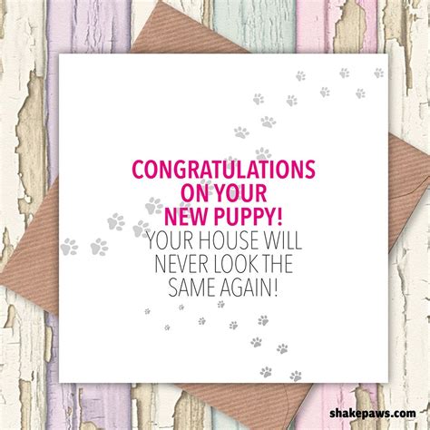 Congratulations On Your New Puppy Your House Will Never Be The Same