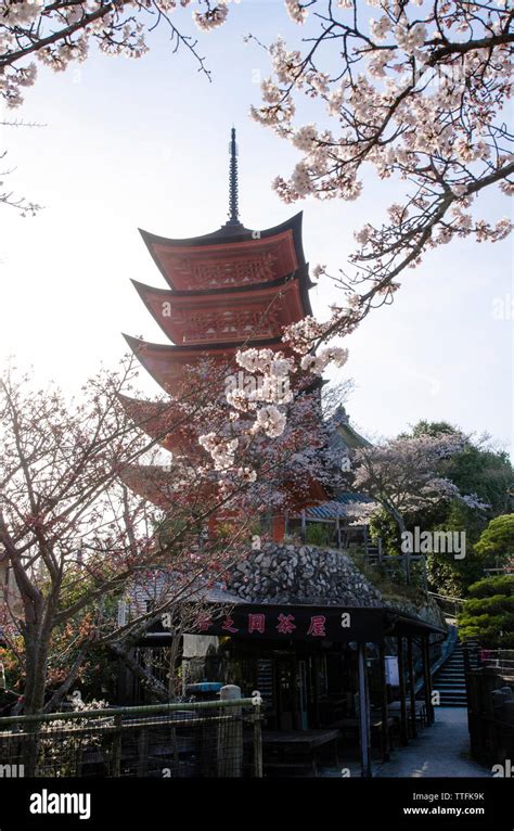 Toji Pagoda Hi Res Stock Photography And Images Alamy