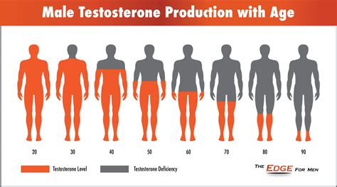 How to naturally increase t. Male Testosterone Levels Over Time | Elevate MD