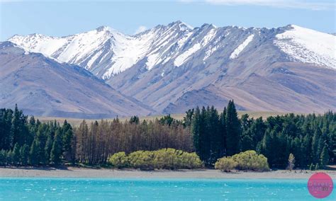 With stunning views of lake tekapo's turquoise water and the mountains of the southern alps, it's a picturesque area visited by thousands of travellers a year. Photos of Lake Tekapo, New Zealand | Photos for Sale ...