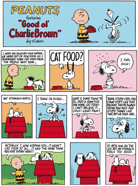 Pin On Peanuts By Charles Schulz