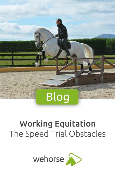 Working Equitation Tackling The Speed Trial Obstacles Equitation