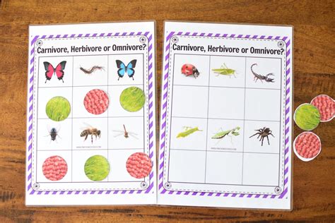 Insect Themed Lesson Plans For Kindergarten To First Grade The Pinay