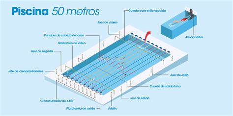 Medidas De La Piscina Olimpica Y Semiolimpica Joker Fans