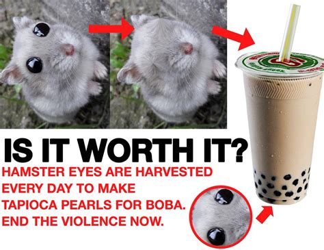 Is It Really Worth It Boba Tea Meme Is It Really Worth It Know