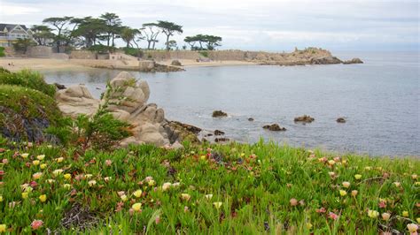 Top 10 Beach Hotels in Pacific Grove, CA $66: Hotels & Resorts near the ...