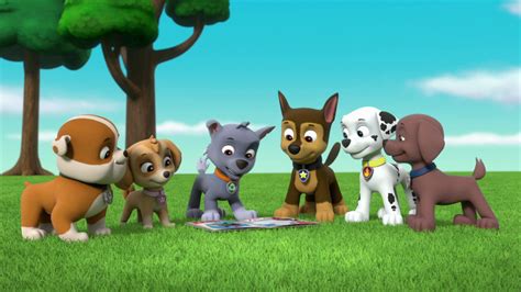 Zumagallerypups Save The Royal Armor Paw Patrol Wiki Fandom