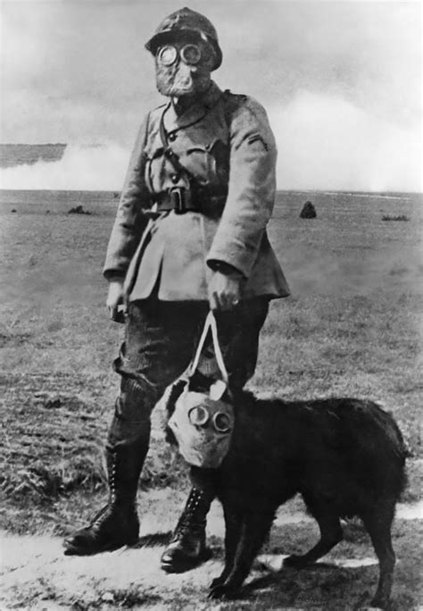 Stunning Vintage Photos Of Pets Wearing Gas Masks During The World War