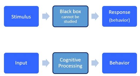 Cognitive Learning Theory The Peak Performance Center