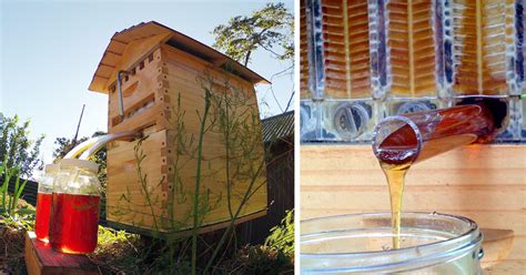 The frames of the flow hive are made from partly formed honeycomb cells. New Beehive Invention Allows For Automatic Honey ...