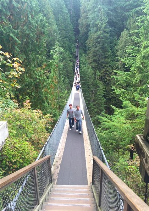 capilano suspension bridge in vancouver bc canada honey lime