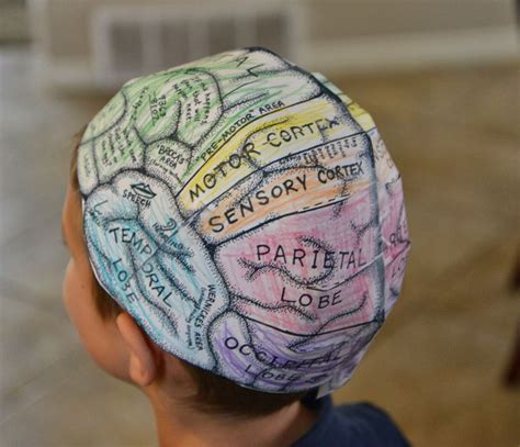 We Loved Making This Brain Hat While We Talked About Parts Of The Brain