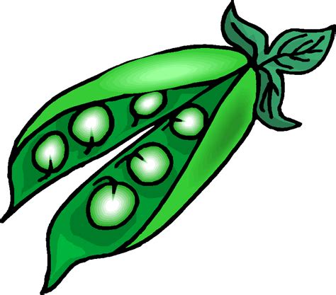 Free Sweet Pea Cliparts Download Free Sweet Pea Cliparts Png Images