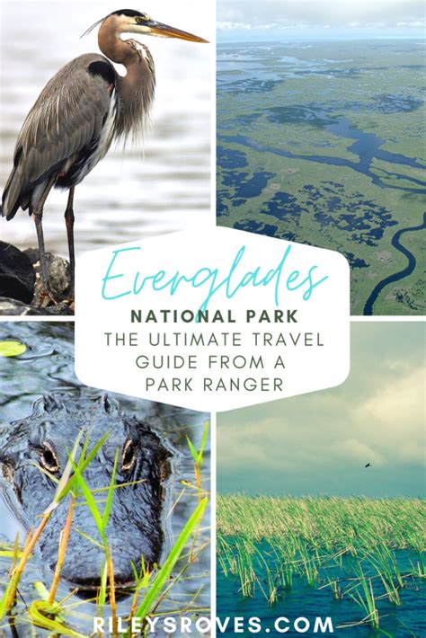 The Only Everglades National Park Guide Youll Need Rileys Roves